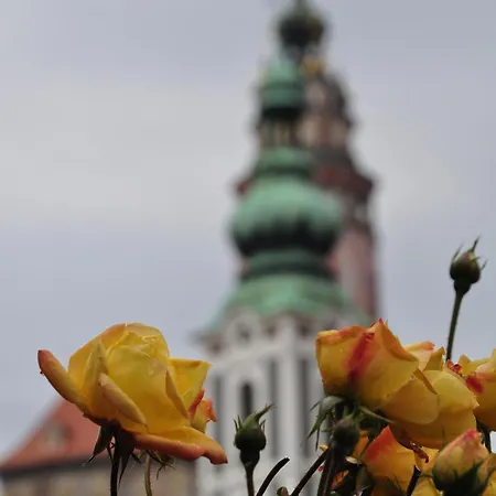 Olšakovský 4* Český Krumlov