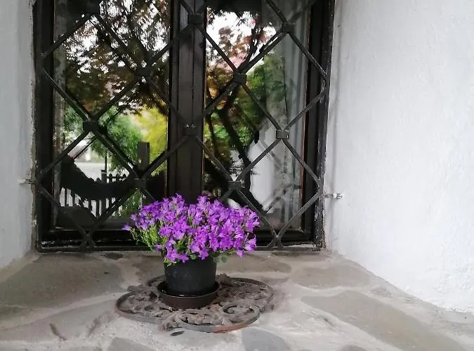 게스트하우스 Olsakovsky 체스키크룸로프