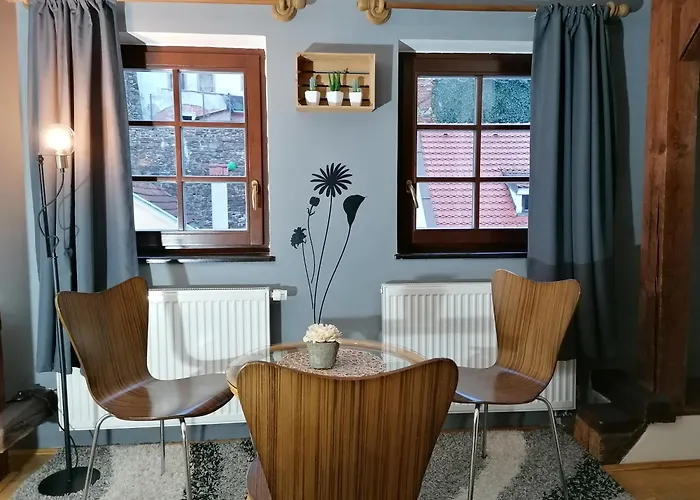 Olsakovsky 게스트하우스 4*