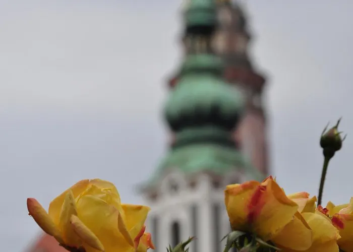 Olsakovsky 3* 체스키크룸로프