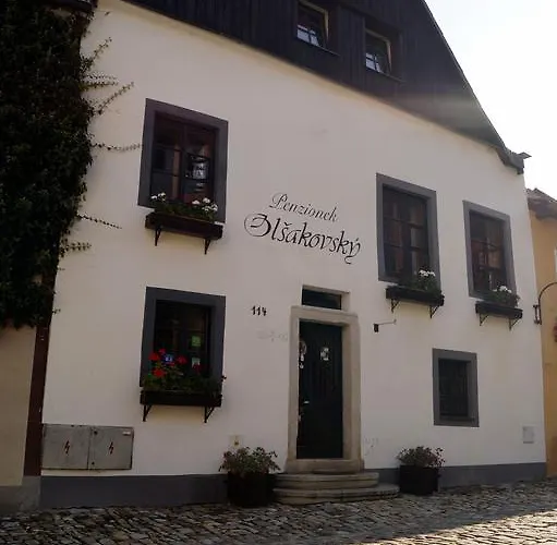 Olsakovsky 게스트하우스 체스키크룸로프